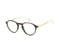 David Beckham Db 1105 2IK/20 HAVANA GOLD Eyewear Men's Acetate, Standard, 49
