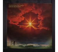 DAVID BEDFORD - instructions for angels