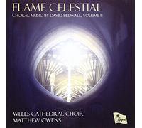 David Bednall - Flame Celestial