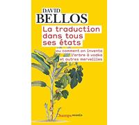 David Bellos La traduction dans tous ses etats (Tascabile)