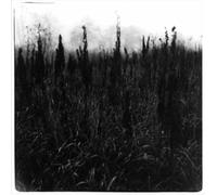 David Bennet & Vilhelm Bromander - Within Reach Of Eventuality