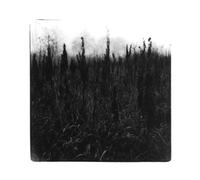 David Bennet & Vilhelm Bromander - Within Reach Of Eventuality