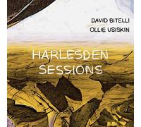 David Bitelli & Ollie Usiskin - Harlesden Sessions