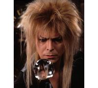 David Bowie [1017111] 8x10 Foto (Altre Misure Disponibile)