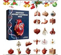 David Bowie Advent Calendar 2025 24 Day Christmas Countdown Calendar Blind Box