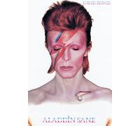 David Bowie - ALADDIN Sane Poster - 24x36 - Musica 241405