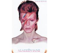 David Bowie - ALADDIN Sane Poster - 24x36 - Musica 241405