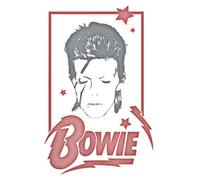 David Bowie Daydream: Notebook Planner -6x9 inch Daily Planner Journal, To Do List Notebook, Daily Organizer, 114 Pages
