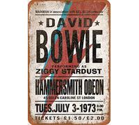 David Bowie Style Concert Targa in Latta Poster Vintage Targa Decorazione da Parete per Bar Cafe Giardino Camera da Letto Ufficio Hotel 20X30 cm