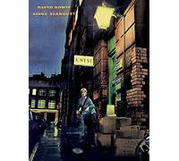 David Bowie Ziggy Stardust-Tela 60 x 80 cm, Motivo: Impronte, Colore: Multicolore