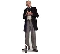 David Bradley Il Primo Dottore Cutout In Cartone A Grandezza Naturale E Mini