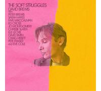David Brewis The Soft Struggles (Vinyl LP) 12" Album