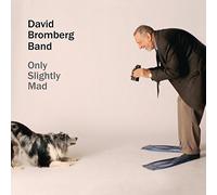 David Bromberg & Band - Only Slightly Mad