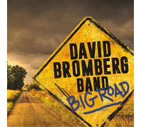 David Bromberg Big Road (Vinyl LP) 12" Album (Gatefold Cover)