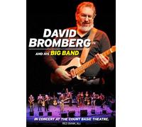 David Bromberg & His Big Band - In Concert