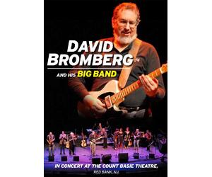 David Bromberg & His Big Band - In Concert