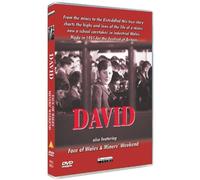 David / Cardiff / Miners' Weekend [DVD] [Edizione: Regno Unito]