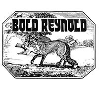 David Carroll and Friends - Bold Reynold