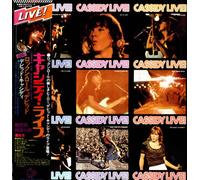 David Cassidy - Cassidy Live