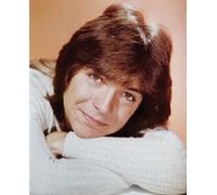 David Cassidy Come Keith Douglas Poster Stampa 24x20"