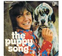 David Cassidy - David Cassidy - Puppy Song - [7"]