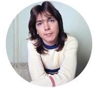 David Cassidy I Think I Love You: Greatest Hits Live (Vinyl LP)