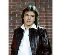David Cassidy Musica Foto [S274555] Misura a Scelta