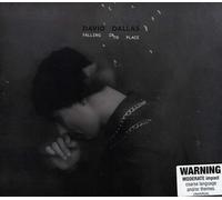 David Dallas - Falling Into Place
