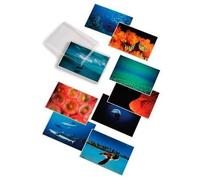 David Doubilet; Water Light Time Postcards