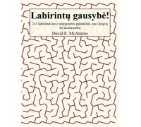 David E McAdams Labirintų gausybe (Tascabile) Matematines Knygos Vaikams