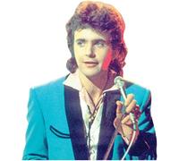 David Essex (1976) Half Body Buddy Cutout