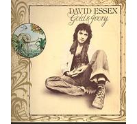 David Essex - Gold & ivory (1977) / Vinyl record [Vinyl-LP]