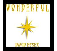 David Essex - Wonderful