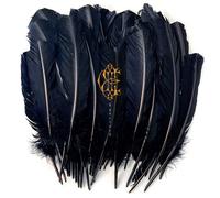 David Eugene Edwards Hyacinth (Vinyl LP) 12" Album Coloured Vinyl