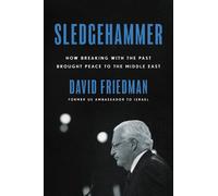 David Friedman Sledgehammer (Copertina rigida)