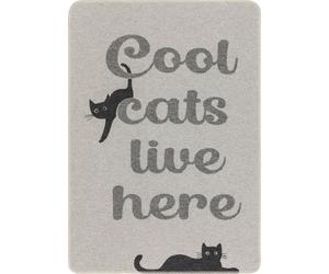 David Fussenegger Coperta per Animali "Cool Cats Live Here" - 1 pz.