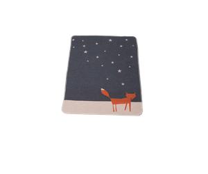 David Fussenegger JUWEL - Copertina "Volpe sotto le Stelle"