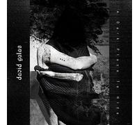David Galas - A Dark Place to Hide