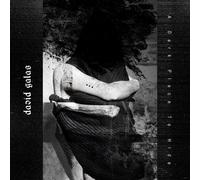 David Galas A Dark Place to Hide (CD) Album (Jewel Case)