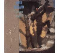 David Garland - Control Songs - Review Records - rere 95