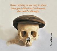 David Garner I have nothing to say, only to show / Does gen i (Copertina rigida)