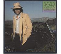 DAVID GATES - goodbye girl LP