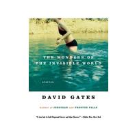 David Gates The Wonders of the Invisible World (Tascabile)