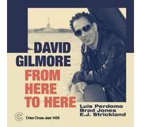 David Gilmore From Here to Here (CD) Album (Jewel Case)