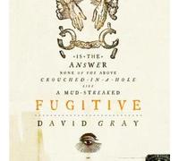 David Gray - Fugitive