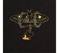 David Gray Gold in a Brass Age Album