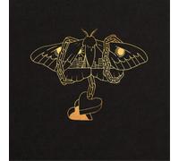 David Gray Gold in a Brass Age (CD) Album