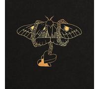 David Gray Gold in a Brass Age (Vinyl LP)
