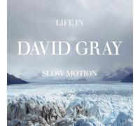Gray, David - Life in Slow Motion -20th Anniversary Edition- (Col.Lp)