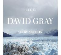 Gray, David - Life in Slow Motion -20th Anniversary Edition-